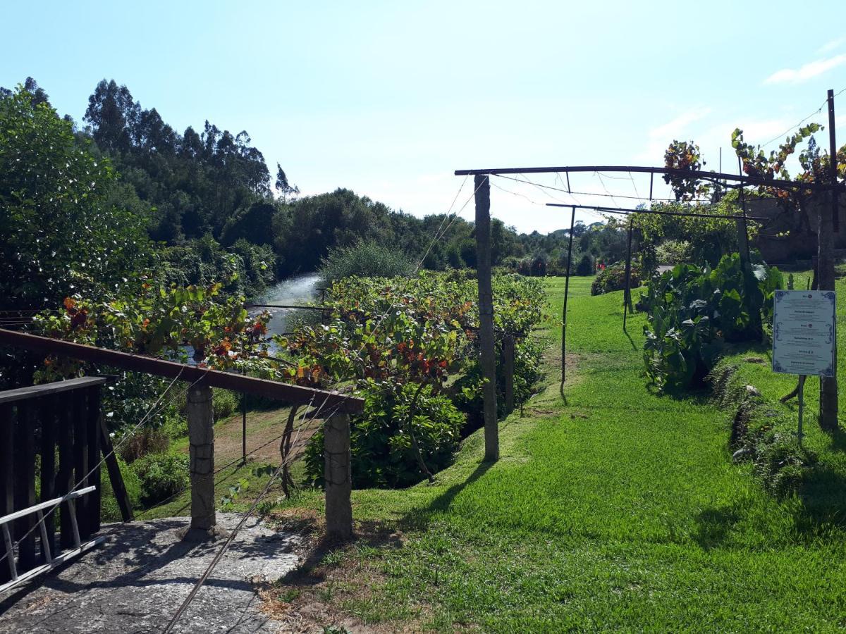 Dream Corner By Waterfalls, 20 Min To Oporto, By Porto With Love Lda Parada  Exterior photo